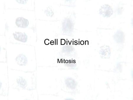 Cell Division Mitosis. Produces 2 cells – called daughter cells – from one parent cell Daughter cells are identical to each another and to the original.