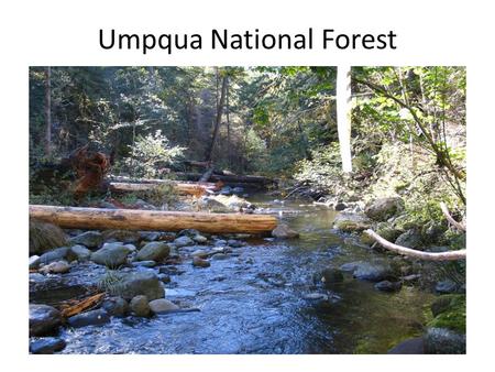 Umpqua National Forest. How we got here Douglas County yesterday Douglas County today.