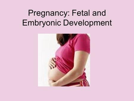 Pregnancy: Fetal and Embryonic Development. Embryonic Development zygote travels through the fallopian tube and into the uterus; divides undergoes grastulation.