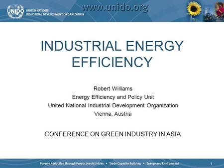 1 INDUSTRIAL ENERGY EFFICIENCY CONFERENCE ON GREEN INDUSTRY IN ASIA Robert Williams Energy Efficiency and Policy Unit United National Industrial Development.