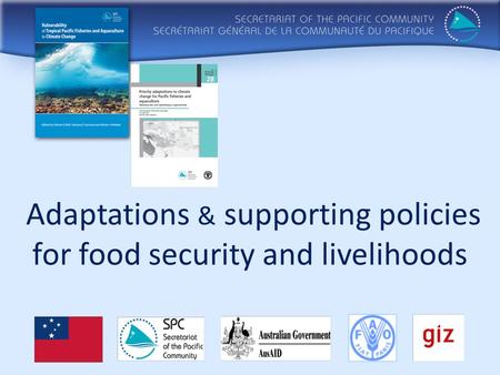 Adaptations & supporting policies for food security and livelihoods.