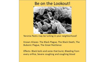 Be on the Lookout! Yersinia Pestis may be lurking in your neighborhood! Known Aliases- The Black Plague, The Black Death, The Bubonic Plague, The Great.