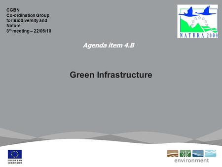 Agenda item 4.B Green Infrastructure CGBN Co-ordination Group for Biodiversity and Nature 8 th meeting – 22/06/10.