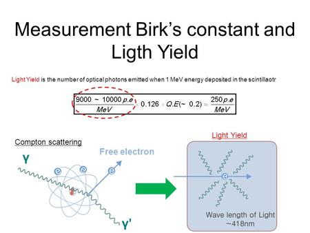 Measurement Birk’s constant and Ligth Yield Light Yield is the number of optical photons emitted when 1 MeV energy deposited in the scintillaotr γ γ'γ'