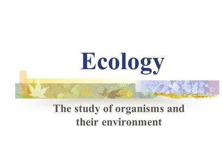 Ecology The study of organisms and their environment.