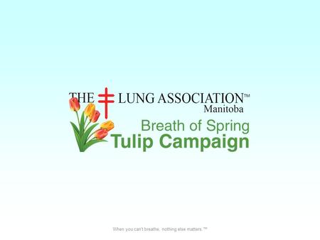When you can't breathe, nothing else matters.™. What is the Tulip Campaign? The Breath of Spring Tulip Campaign is a fundraiser for The Manitoba Lung.