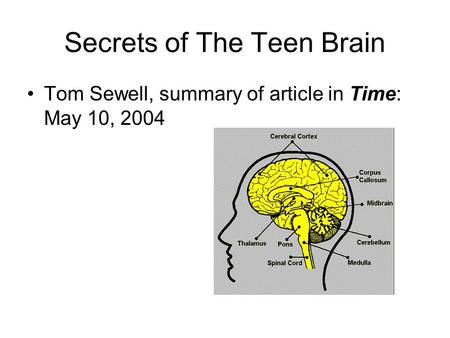 Secrets of The Teen Brain Tom Sewell, summary of article in Time: May 10, 2004.