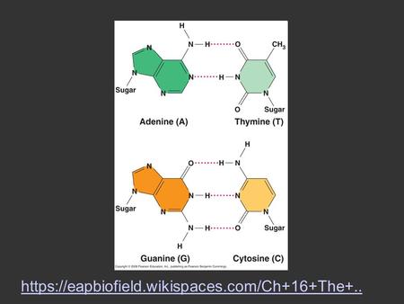 Https://eapbiofield.wikispaces.com/Ch+16+The+...