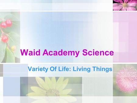Waid Academy Science Variety Of Life: Living Things.