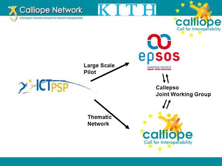 Large Scale Pilot Thematic Network Callepso Joint Working Group.