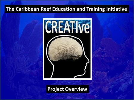 The Caribbean Reef Education and Training Initiative Project Overview.