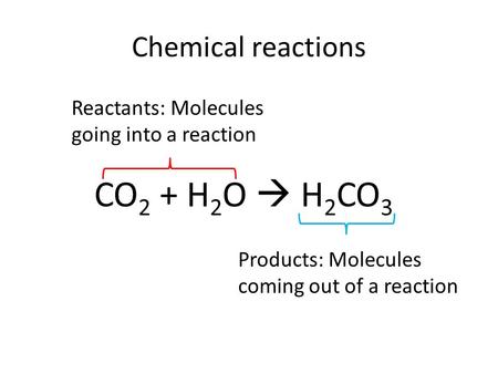 Chemical reactions CO 2 + H 2 O  H 2 CO 3 Reactants: Molecules going into a reaction Products: Molecules coming out of a reaction.
