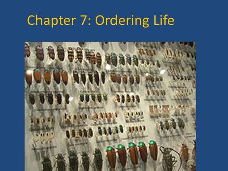 Chapter 7: Ordering Life. 7.1 Scientist develop methods for classifying living things.