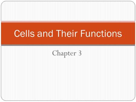 Chapter 3 Cells and Their Functions. Objectives List 3 types of microscopes Describe the function and composition of the plasma membrane Describe the.
