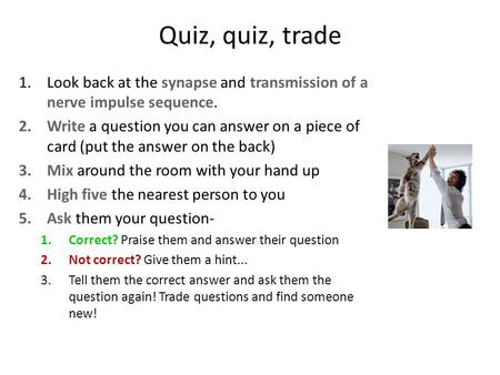 Quiz, quiz, trade 1.Look back at the synapse and transmission of a nerve impulse sequence. 2.Write a question you can answer on a piece of card (put the.