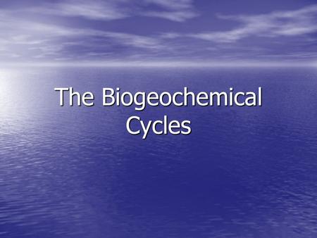 The Biogeochemical Cycles