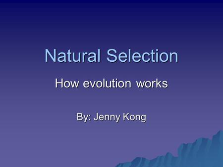 Natural Selection How evolution works By: Jenny Kong.
