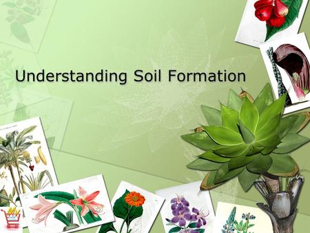 Understanding Soil Formation. Five different factors that affect soil formation 2. Topography -the slope characteristics of the soil 1.Parent material.