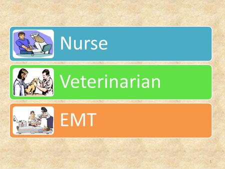 Nurse Veterinarian EMT 1. 2 Veterinarians should love animals and be able to get along with their owners. Graduate from an accredited college of veterinary.