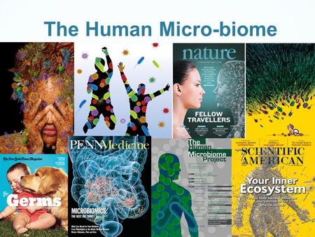 The Human Micro-biome. What is the Human Microbiome Microbial communities exist in many places such as in the soil, in the ocean and in every plant and.