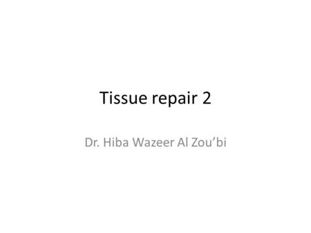Dr. Hiba Wazeer Al Zou’bi