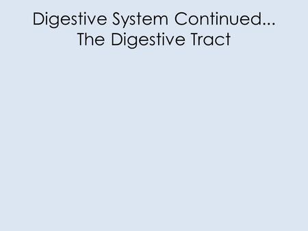 Digestive System Continued... The Digestive Tract.