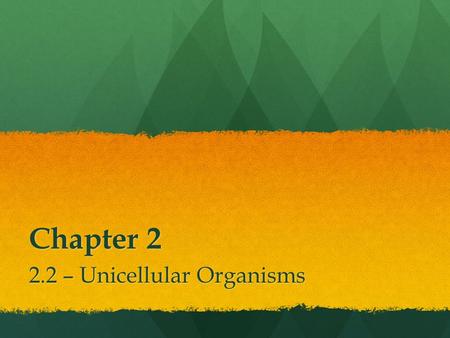 Chapter 2 2.2 – Unicellular Organisms. Unicellular Organisms We are multicellular organisms We are multicellular organisms However, many living things.