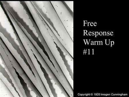 Free Response Warm Up #11 Copyright © 1920 Imogen Cunningham.
