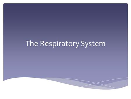The Respiratory System. Parts and Structure of the Respiratory System.