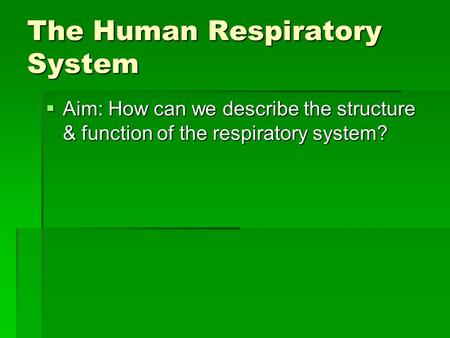 The Human Respiratory System  Aim: How can we describe the structure & function of the respiratory system?