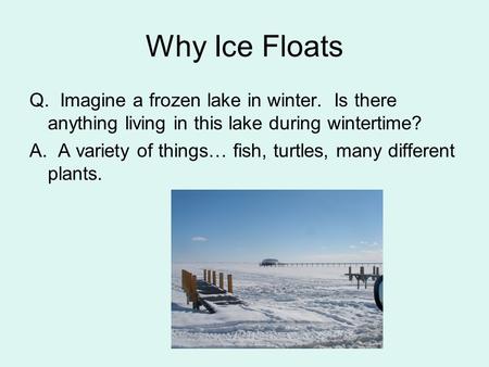 Why Ice Floats Q. Imagine a frozen lake in winter. Is there anything living in this lake during wintertime? A. A variety of things… fish, turtles, many.