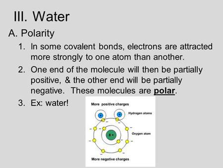 III. Water A.Polarity 1.In some covalent bonds, electrons are attracted more strongly to one atom than another. 2.One end of the molecule will then be.