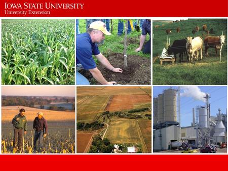 Mission Agriculture and Natural Resources Extension Engage clients and deliver research- based knowledge and educational programs.