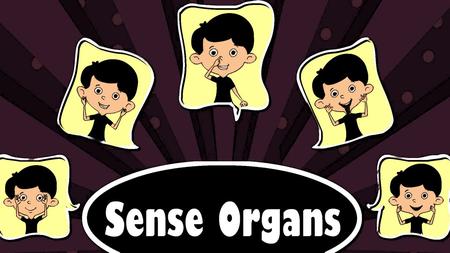 The 5 sense organs in our body are EYES, TONGUE, NOSE, EARS and SKIN