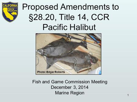 Fish and Game Commission Meeting December 3, 2014 Marine Region 1 Photo: Edgar Roberts.