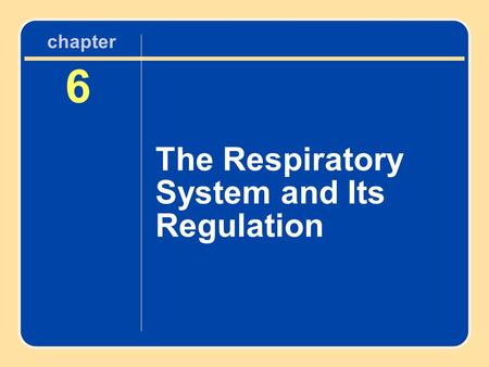 Chapter 6 The Respiratory System and Its Regulation.