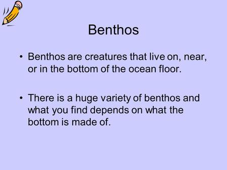 Benthos Benthos are creatures that live on, near, or in the bottom of the ocean floor. There is a huge variety of benthos and what you find depends on.