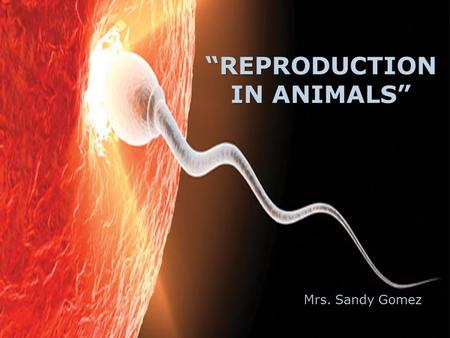“REPRODUCTION IN ANIMALS” Mrs. Sandy Gomez. REPRODUCTION  Requires only one parent (Adnavtage)  Takes place faster  Less genetic diversity (Disadvantage)