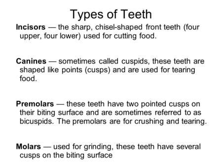 Types of Teeth Incisors — the sharp, chisel-shaped front teeth (four upper, four lower) used for cutting food. Canines — sometimes called cuspids, these.