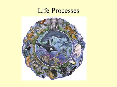 Life Processes. Life Processes(Activities) – These are the processes that all livings things must accomplish in order to be alive. Think of some of the.