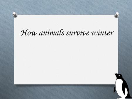 How animals survive winter. What do animals do during the winter? O Hibernate.