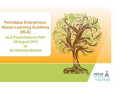 Pelindaba Enterprises: Necsa Learning Academy (NLA) NLA Presentation to PSIF 29 August 2015 by Ms Ntebatse Matube.