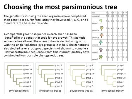 Choosing the most parsimonious tree