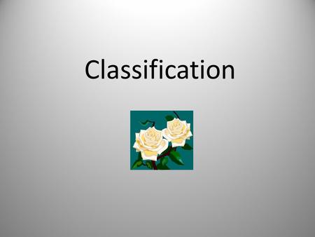 Classification. Classifying Most Living Things Dichotomous Key Single-Celled: Nucleus: Yes-Protists; No-Bacteria. Makes Own Food: Plants. Eats food: Yes-Animals;