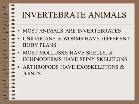 INVERTEBRATE ANIMALS MOST ANIMALS ARE INVERTEBRATES CNIDARIANS & WORMS HAVE DIFFERENT BODY PLANS MOST MOLLUSKS HAVE SHELLS, & ECHINODERMS HAVE SPINY SKELETONS.