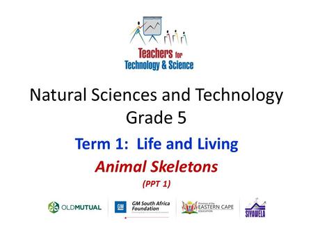 Natural Sciences and Technology Grade 5 Term 1: Life and Living Animal Skeletons (PPT 1)