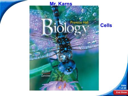 End Show Slide 1 of 49 Biology Mr. Karns Cells. End Show Slide 2 of 49 7-2 Eukaryotic Cell Structure.