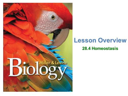 Lesson Overview 28.4 Homeostasis.