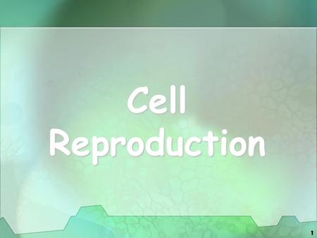 1 Cell Reproduction. 2 Types of Cell Reproduction Asexual reproduction involves a single cell dividing to make 2 new, identical daughter cells Asexual.