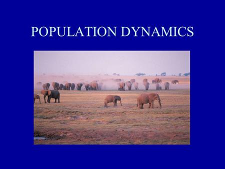 POPULATION DYNAMICS. MAJOR CHARACTERISTICS OF A POPULATION POPULATIONS ARE ALWAYS CHANGING: –size –density –dispersion - clumped, uniform, random –age.
